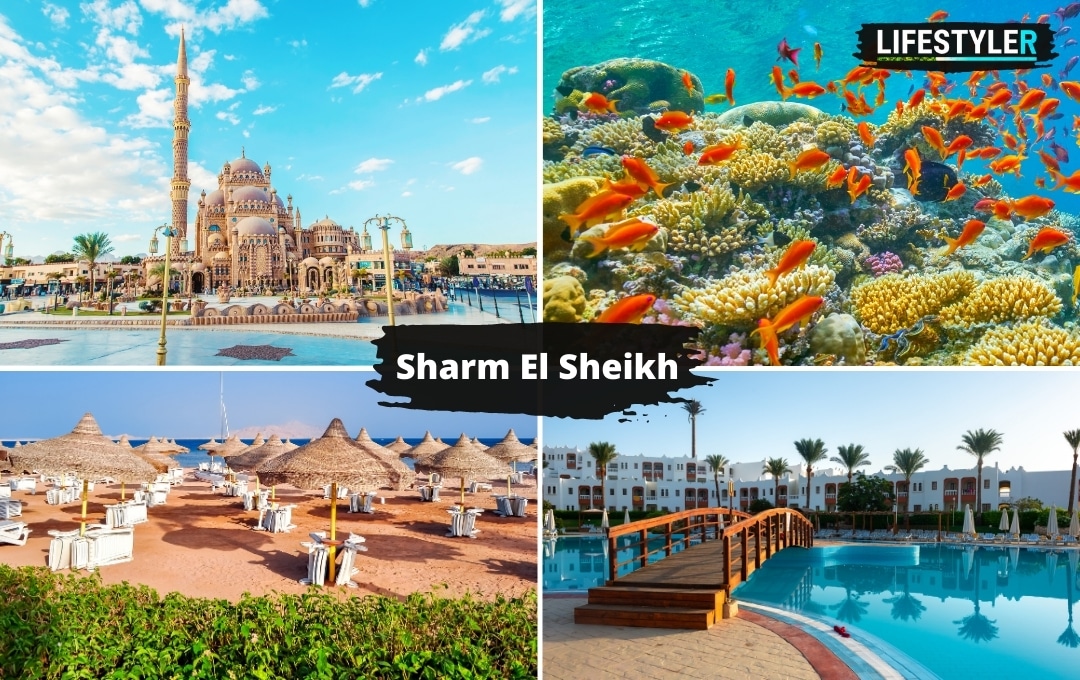 Egipt Sharm El Sheikh