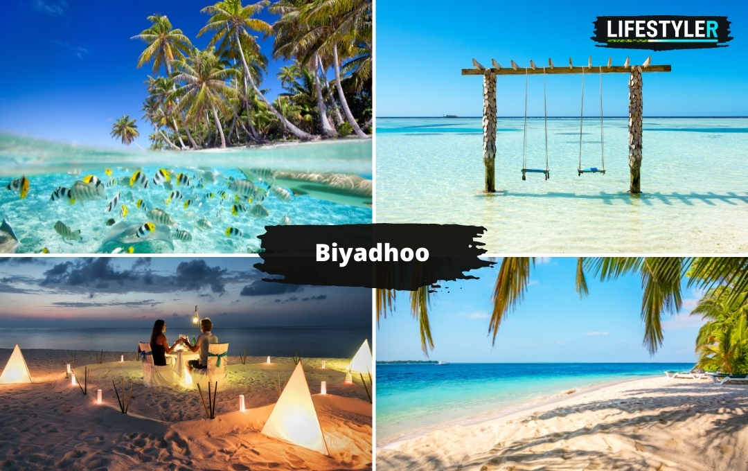 Malediwy biyadhoo