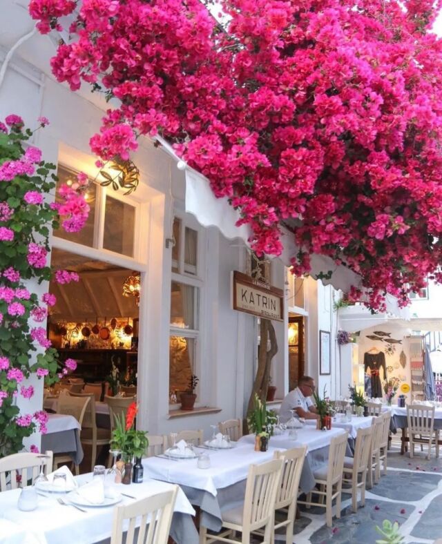📍Mykonos, Grecja 

Kto z Was skusiłby się na kolację w tak prawdziwie greckim klimacie? 🇬🇷

Obserwuj @lifestyler.pl by poznać piękne miejsca i hotele na świecie 🌍

Reposted from: @vacations_moments

#wakacje#world #tropical #polskieblogipodroznicze #podróżnicy #krajobraz #podrozowanie #turysta #pieknemiejsca #podróże #zwiedzamyświat #wczasy #polandtravel #seszele #blogpodrozniczy #podrozniczka #wycieczka #zwiedzanie #podrozemaleiduze #natura #turystyka #kochampodróże #podróżowanie #polishtravelblogs #pieknemiejsce #podroznicy #pieknewidoki #maldives #maldivesislands